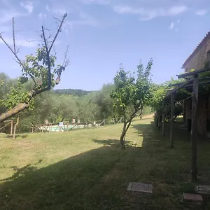 Borgo A Tolli Alloggio per agriturismo